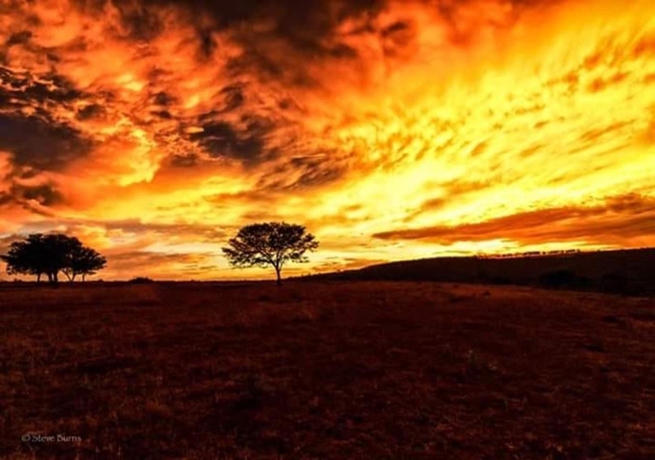The Ranch House At African Safari Lodge Grahamstown Esterno foto
